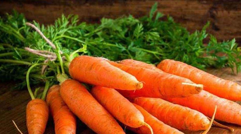 44510510_20251219_171007069