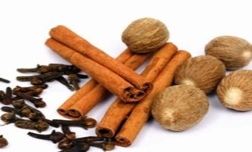 8445151_20260119_141144459