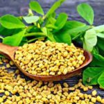 ডায়াবেটিস নিয়ন্ত্রণে মেথির জাদুকরী ভূমিকা 