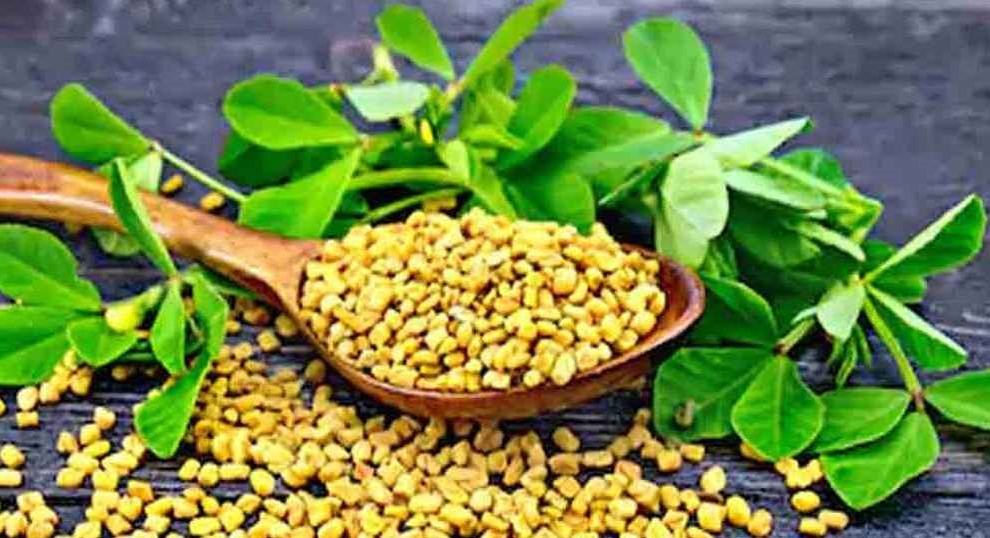 8484151515_20260114_130836286