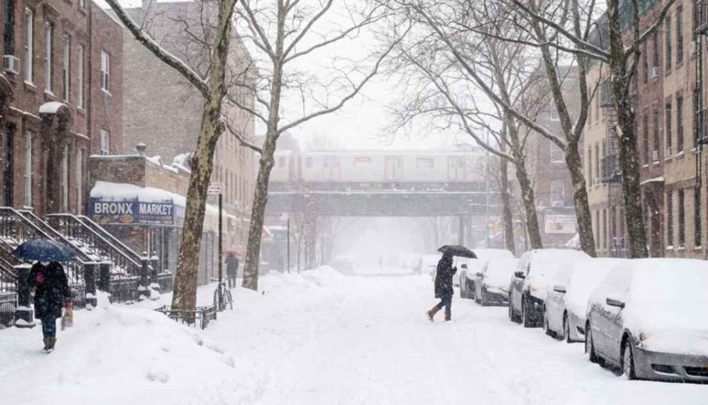 LITcopy_20260208_124934883