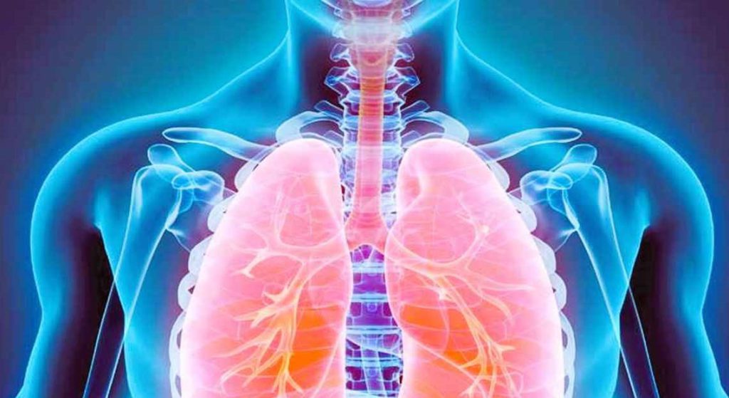 T-B_20260329_101306676